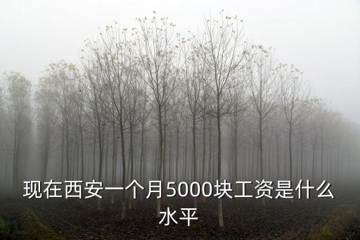 西安工資水平，西安人均收入工資2022