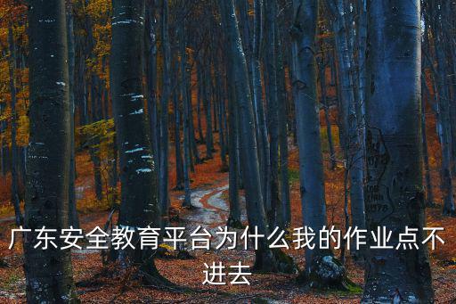 廣東安全教育平臺(tái)為什么我的作業(yè)點(diǎn)不進(jìn)去