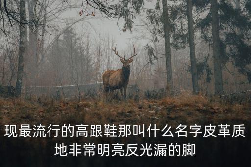 現最流行的高跟鞋那叫什么名字皮革質地非常明亮反光漏的腳
