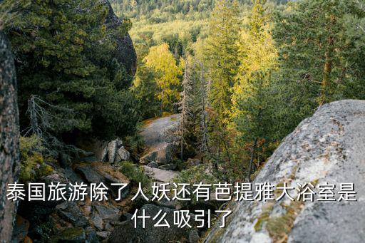 泰國旅游除了人妖還有芭提雅大浴室是什么吸引了