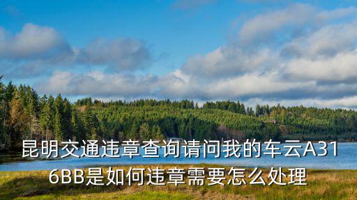 昆明交通違章查詢請問我的車云A316BB是如何違章需要怎么處理