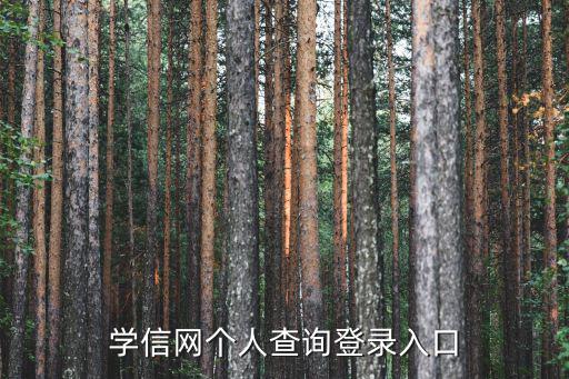 學信網個人查詢，學信網個人查詢登錄入口