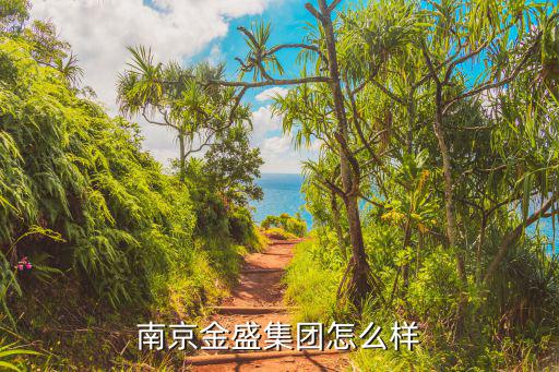 南京金盛，南京金盛集團怎么樣