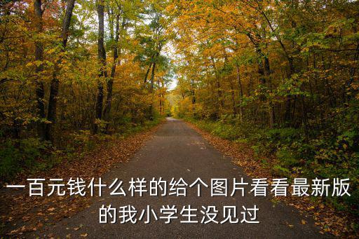 一百元錢什么樣的給個(gè)圖片看看最新版的我小學(xué)生沒見過