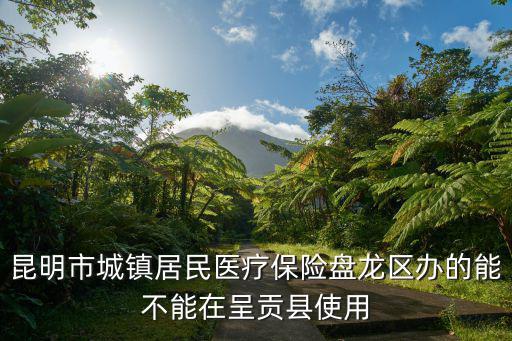 昆明市城鎮(zhèn)居民醫(yī)療保險盤龍區(qū)辦的能不能在呈貢縣使用