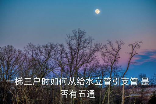 一梯三戶時如何從給水立管引支管 是否有五通