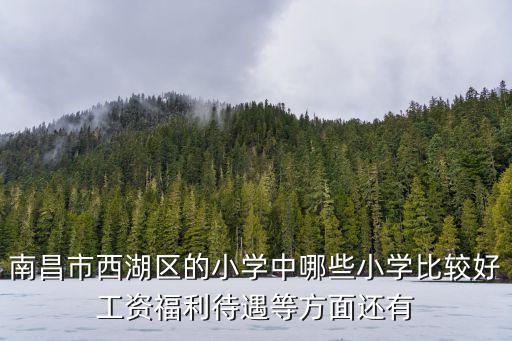 南昌市西湖區的小學中哪些小學比較好工資福利待遇等方面還有