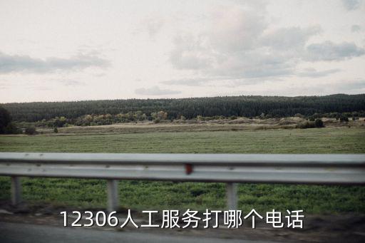 12306人工服務打哪個電話