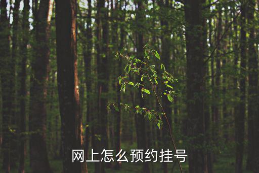 網上怎么預約掛號