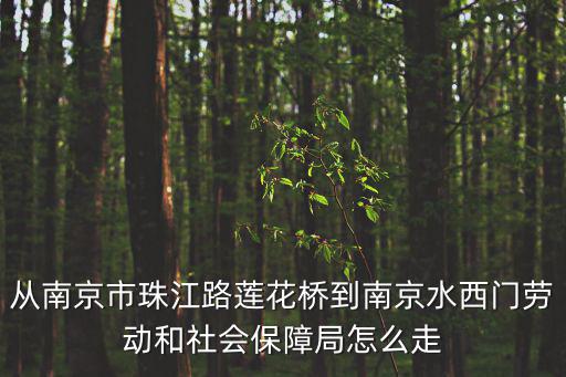 從南京市珠江路蓮花橋到南京水西門勞動(dòng)和社會(huì)保障局怎么走