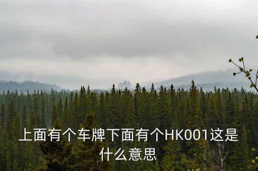 中港車no1，上面有個車牌下面有個HK001這是什么意思
