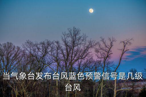 當(dāng)氣象臺發(fā)布臺風(fēng)藍(lán)色預(yù)警信號是幾級臺風(fēng)