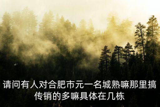 元一名城，合肥元一名城小區(qū)在哪個(gè)區(qū)域現(xiàn)在房價(jià)多少了