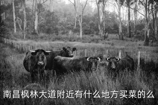 南昌楓林大道附近有什么地方買菜的么