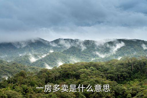 一房多賣是什么意思