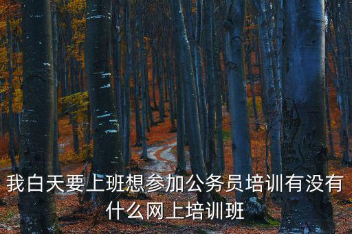 師訓網，我白天要上班想參加公務員培訓有沒有什么網上培訓班