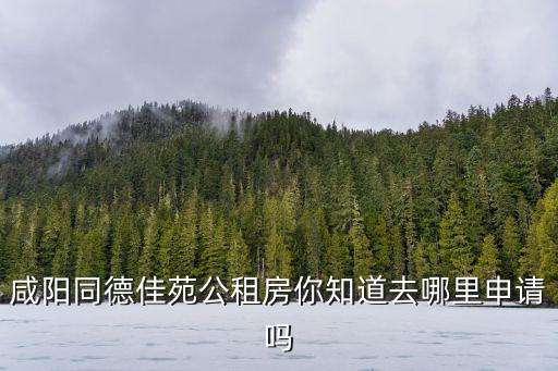 咸陽(yáng)同德佳苑公租房你知道去哪里申請(qǐng)嗎