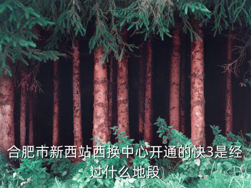 合肥新西站，合肥新西站到海恒步行街坐幾路公交
