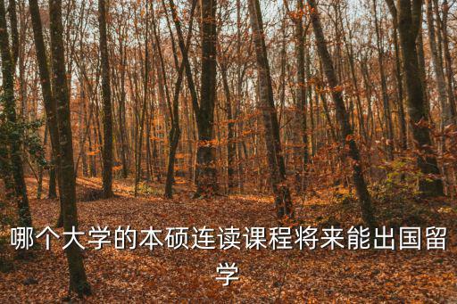 哪個大學的本碩連讀課程將來能出國留學