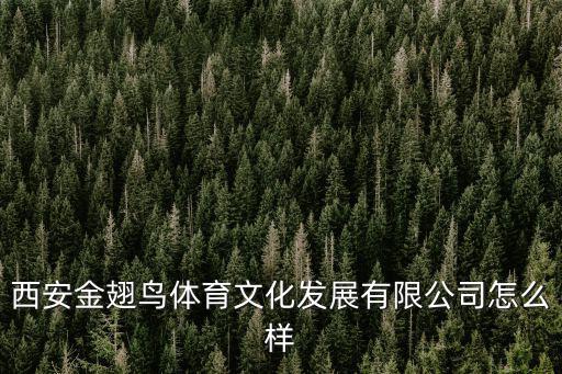 西安金翅鳥(niǎo)體育文化發(fā)展有限公司怎么樣