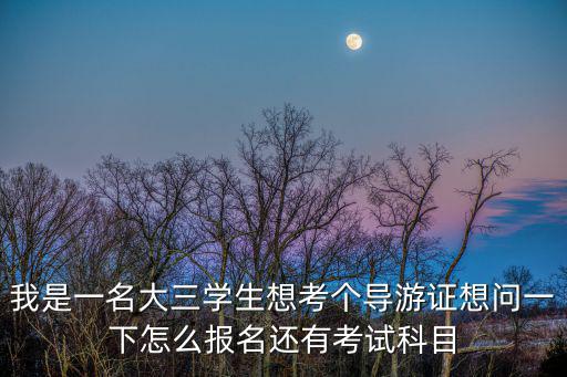 全國導游資格考試網上報名系統，全國導游證考試是什么時候考的啊怎樣報考