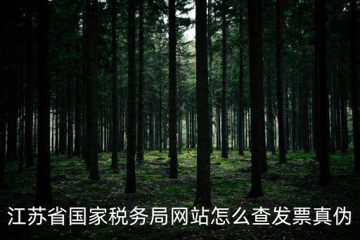 江蘇省電子稅務局官網(wǎng)，江蘇電子稅務局網(wǎng)站官網(wǎng)
