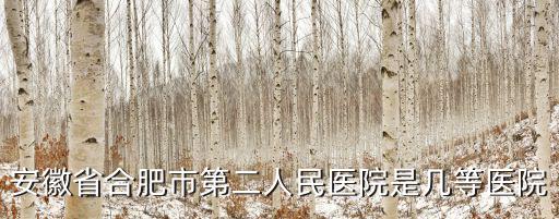 安徽省合肥市第二人民醫(yī)院是幾等醫(yī)院