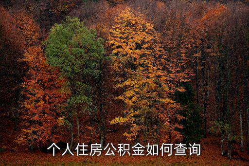 個人住房公積金如何查詢