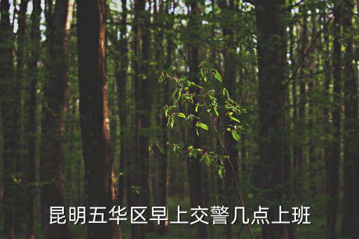 交警大隊上班時間，昆明五華區早上交警幾點上班