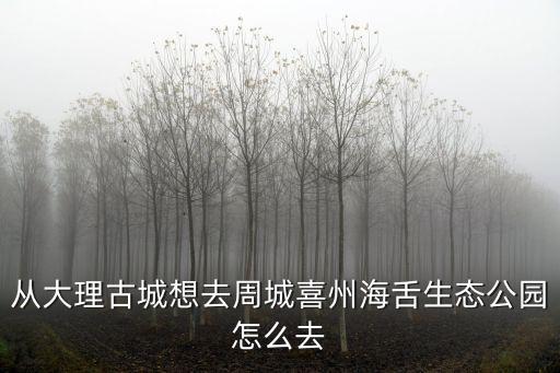從大理古城想去周城喜州海舌生態(tài)公園怎么去