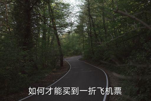 1折機(jī)票，在哪個網(wǎng)站可以買到折扣的機(jī)票聽同學(xué)講還有一折的