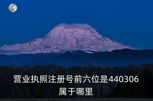 營業執照注冊號前六位是440306屬于哪里