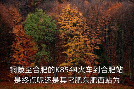 銅陵至合肥的K8544火車到合肥站是終點(diǎn)呢還是其它肥東肥西站為