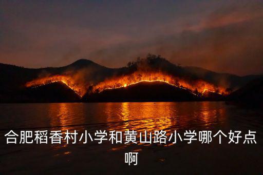 合肥稻香村小學和黃山路小學哪個好點啊