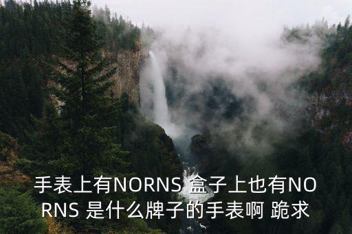 手表上有NORNS 盒子上也有NORNS 是什么牌子的手表啊 跪求