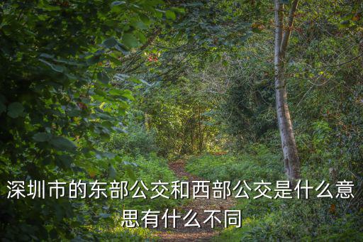 東部公交，深圳東部公交集團(tuán)總部批地址在哪坐幾路車到