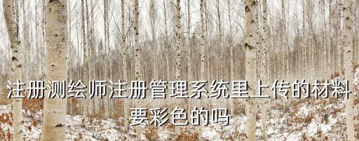 注冊測繪師注冊管理系統(tǒng)里上傳的材料要彩色的嗎
