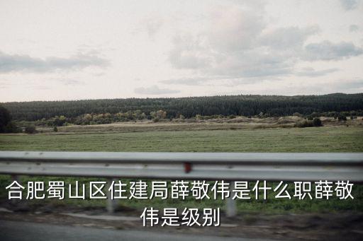 合肥蜀山區(qū)住建局薛敬偉是什么職薛敬偉是級別