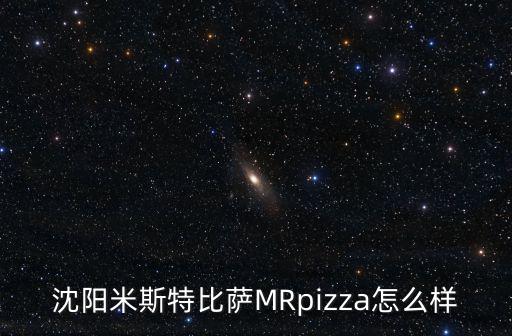 沈陽米斯特比薩MRpizza怎么樣