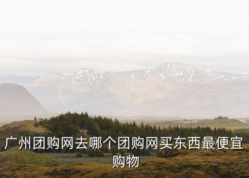 廣州團購網去哪個團購網買東西最便宜 購物