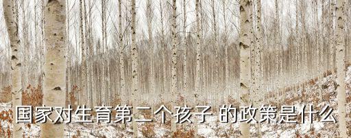 國家對生育第二個孩子 的政策是什么
