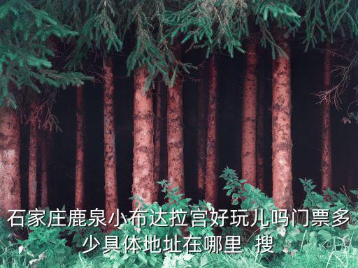 石家莊鹿泉小布達拉宮好玩兒嗎門票多少具體地址在哪里  搜