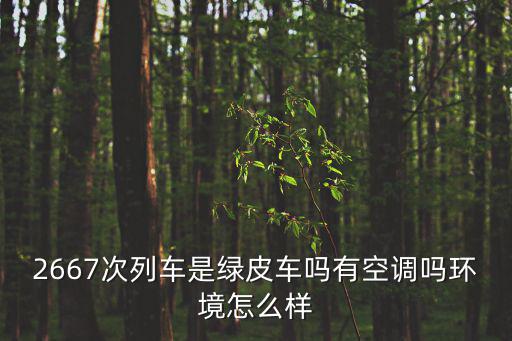 2667次列車是綠皮車嗎有空調嗎環境怎么樣
