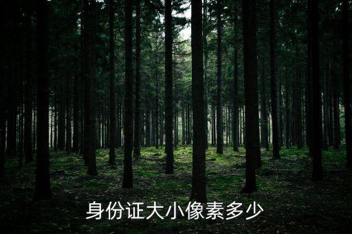 身份證大小像素多少