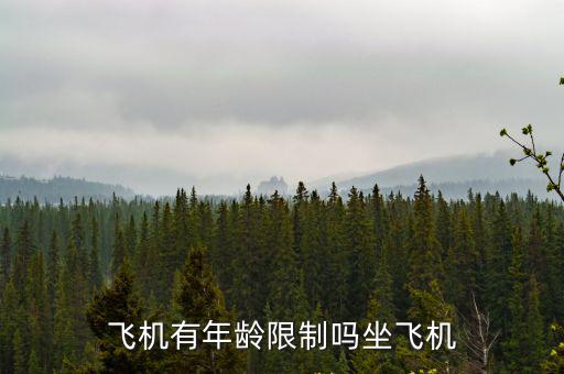 飛機有年齡限制嗎坐飛機