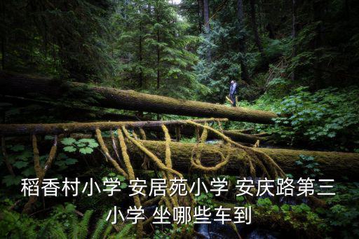 稻香村小學 安居苑小學 安慶路第三小學 坐哪些車到