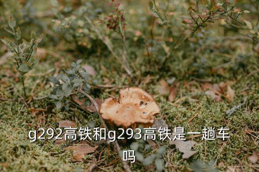 g292高鐵和g293高鐵是一趟車嗎