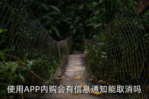 使用APP內購會有信息通知能取消嗎