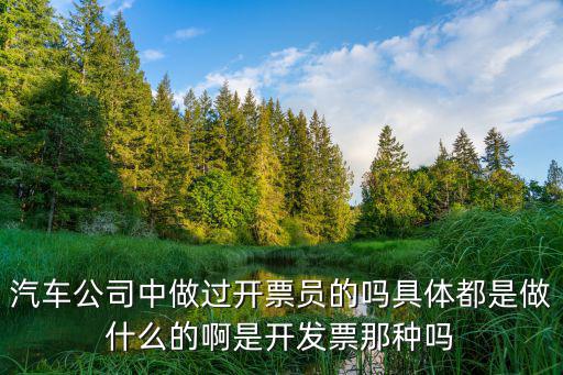開票員，汽車公司中做過開票員的嗎具體都是做什么的啊是開發票那種嗎