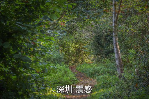 深圳震感，深圳 震感